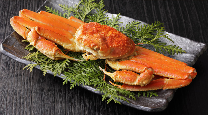 Snow Crab